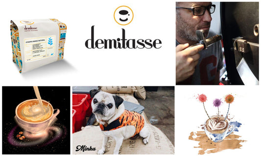 Q&A with Bobby Roshan, Founder of Demitasse