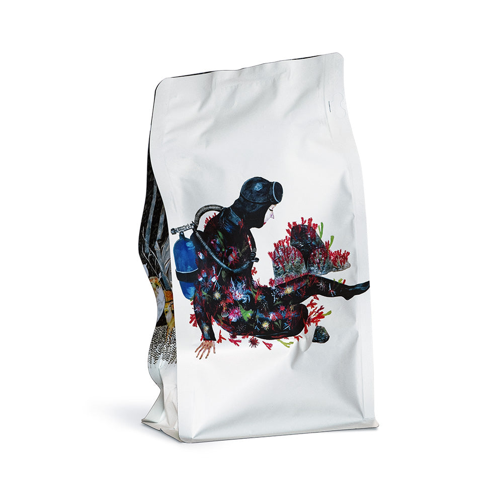 Front of bag of Goodboybob Coffee Roasters Ascent Light Blend