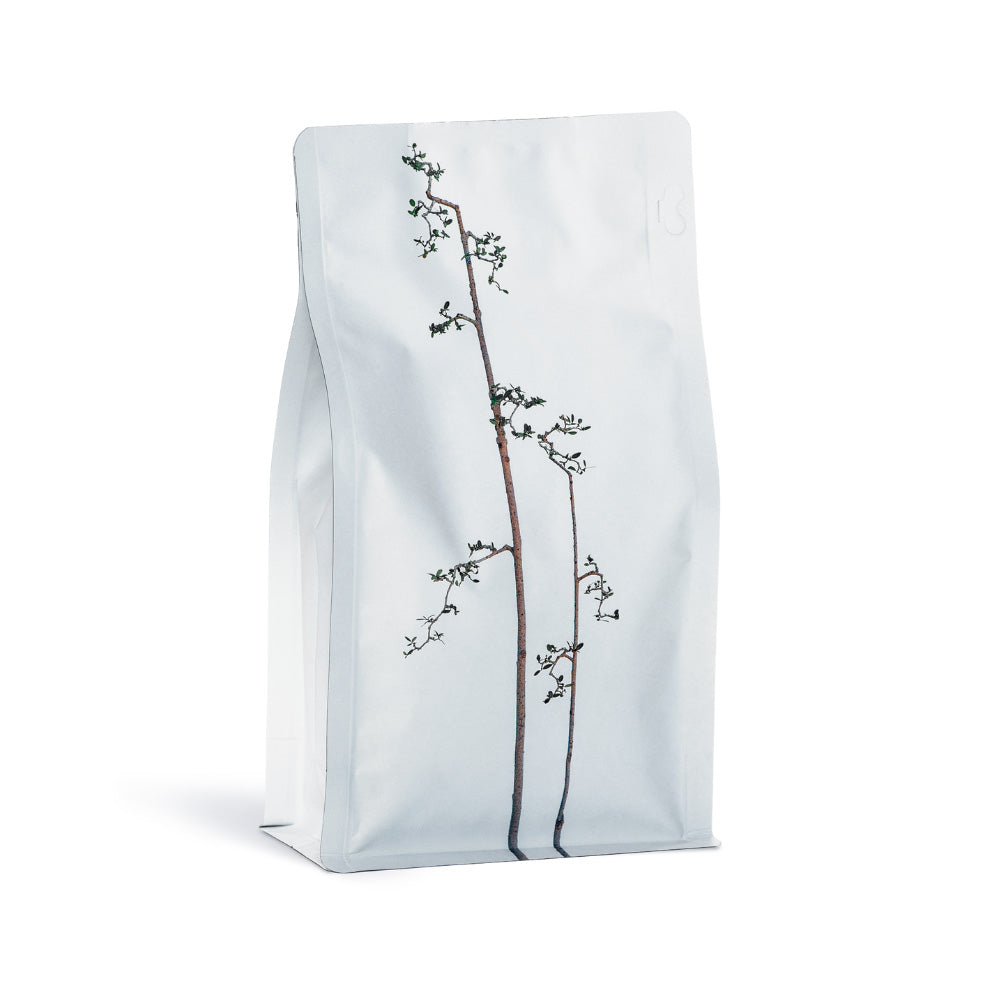 Bag of GoodBoyBob Coffee Roasters Decaf – goodboybob Coffee Roasters main product