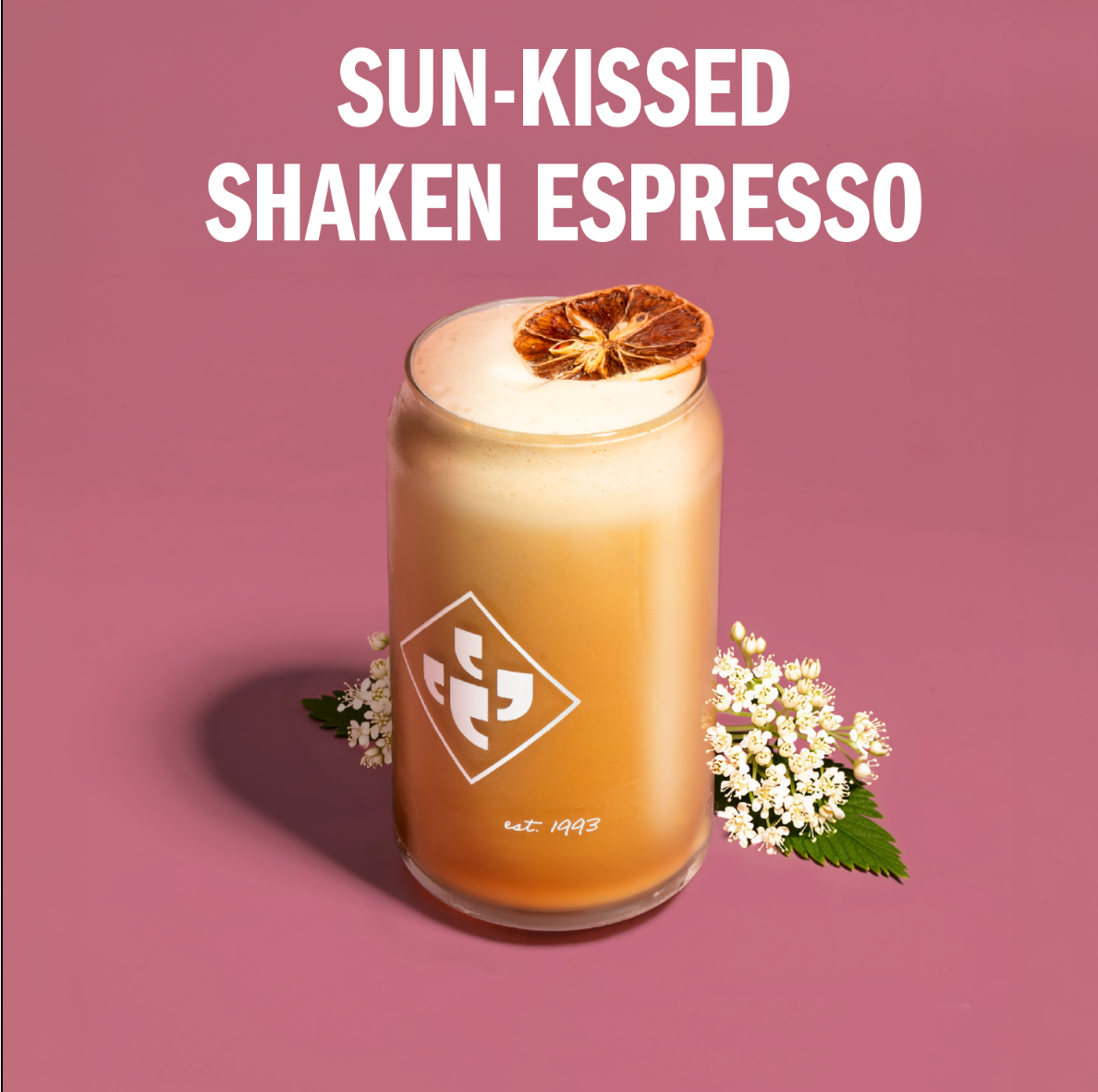  Sun-Kissed Shaken Espresso