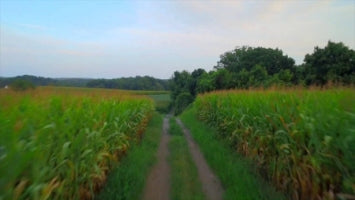 Field at Brandywine Coffee Roasters