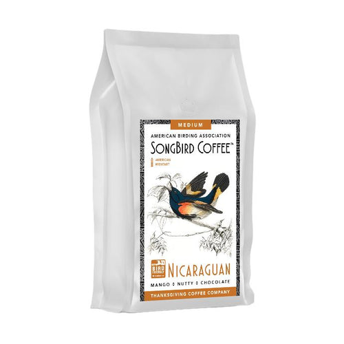 SongBird Nicaraguan